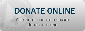 Donate Online: make a secure donation online using JustGiving